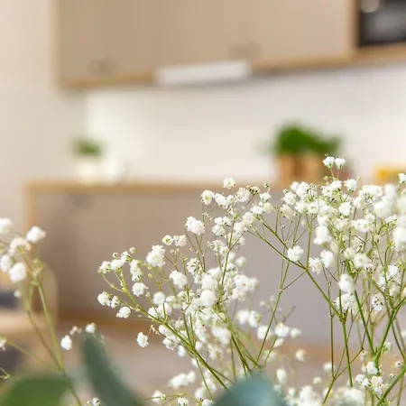 Apartamenty Kdn Na Rysiej Katowice Esterno foto